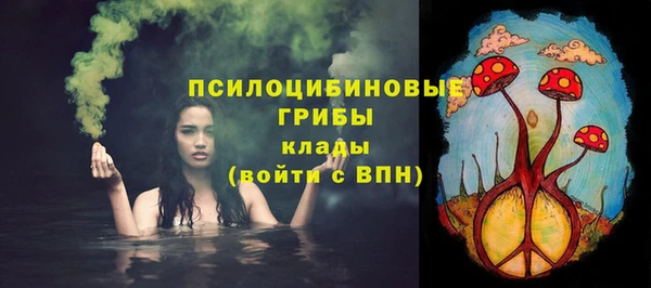 2c-b Богородицк