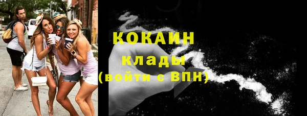 2c-b Богородицк