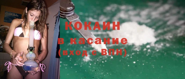 спиды Богданович