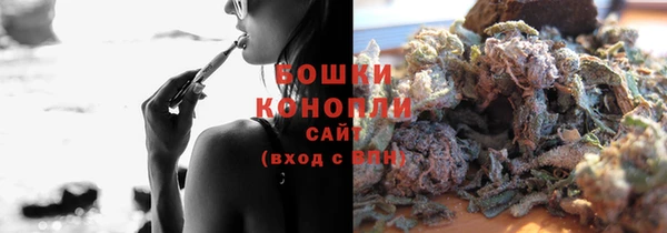 спиды Богданович