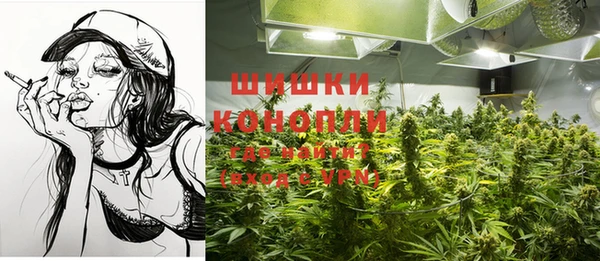 2c-b Богородицк