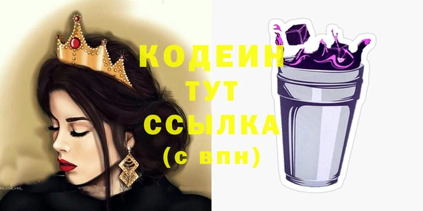 спиды Богданович
