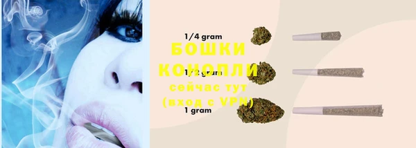 2c-b Богородицк