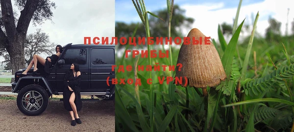спиды Богданович