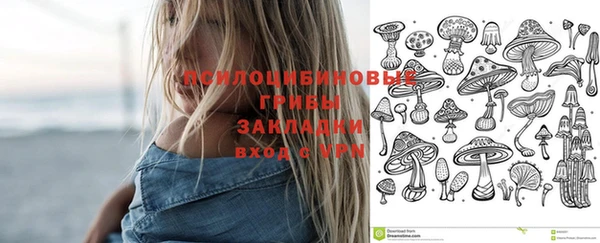 мдма Богородск