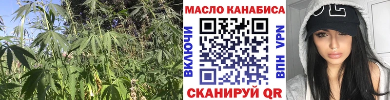 что такое   Петропавловск-Камчатский  MEGA вход  Дистиллят ТГК THC oil 