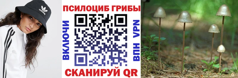 Галлюциногенные грибы мицелий  даркнет сайт  Петропавловск-Камчатский 